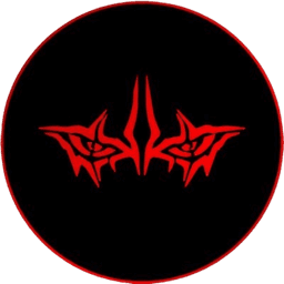 Sansa Labs Logo